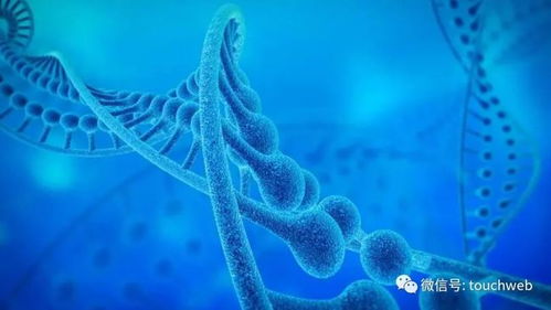 加立生物沖刺港股 9個月虧損4433萬，林帝邦為大股東，生物技術開發成焦點