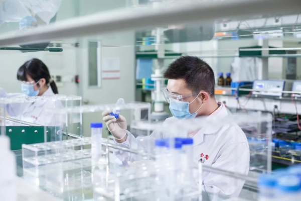 生物技術(shù)開發(fā)的連續(xù)輝煌 連續(xù)四年位居全國(guó)第二的成就與啟示