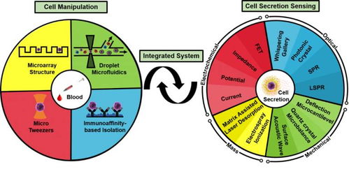 基于微流體系統(tǒng)的單細(xì)胞生物檢測(cè)技術(shù)的發(fā)展與展望